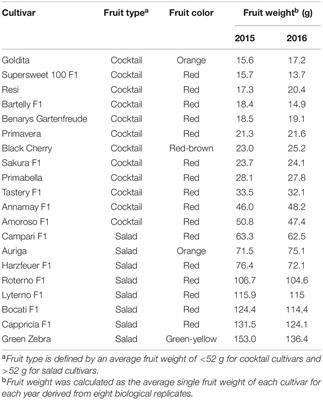 Biodiversity in Tomatoes: Is It Reflected in Nutrient Density and Nutritional Yields Under Organic Outdoor Production?